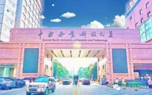 当高校遇到二次元,美呆了