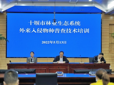 市林业局举办林业生态系统外来入侵物种普查技术培训
