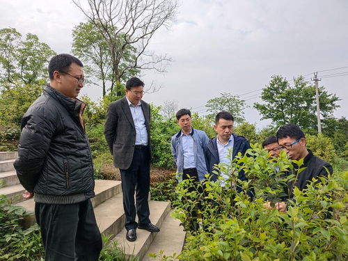 江西省林业科技实验中心到亚林中心调研油茶种苗产业发展状况