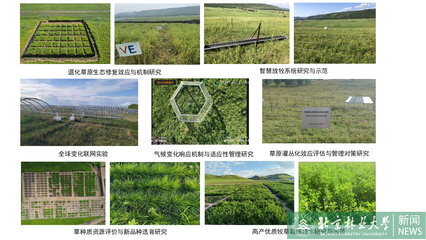 中国·内蒙古第四届牧草产业大会代表团参观草学院科学试验站