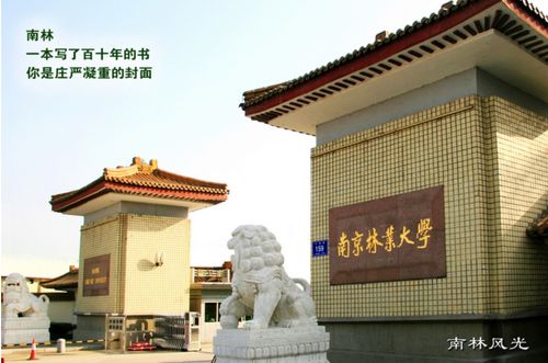 江苏这所大学实力 硬核 ,排名连续三年上升,迎来高光时刻