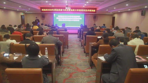 让林业科技之树在环江扶贫大 花园 里 生根发芽