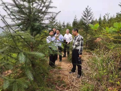 江西林业科技