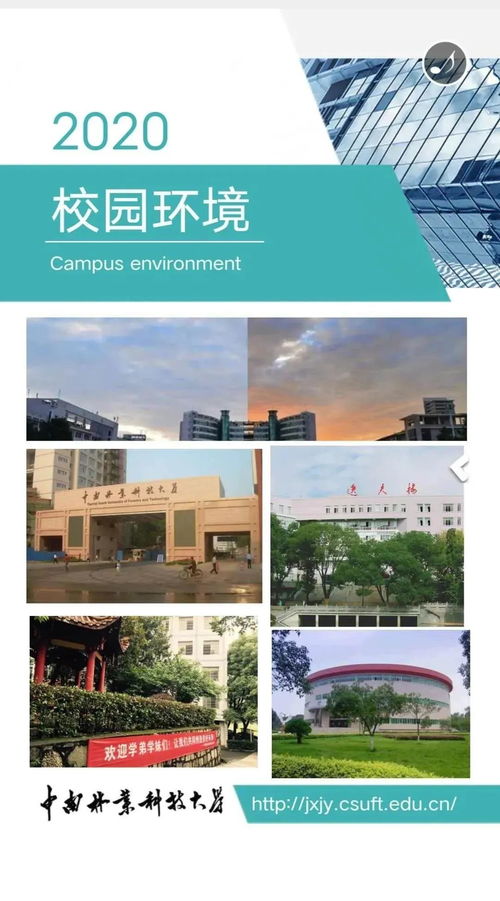 中南林业科技大学继续教育学院全日制自考本科招生简介