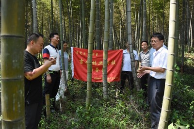吉安市林业局到井冈山开展林业科技下乡服务
