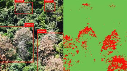 数智赋能守护绿水青山,普宙科技助力智慧林业建设