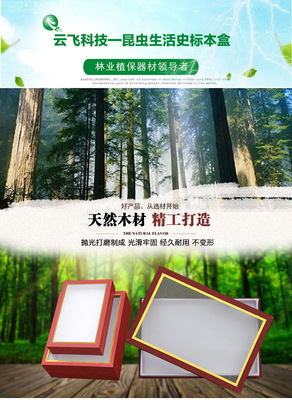 直销多种尺寸昆虫生活史标本盒 光滑牢固，经久耐用