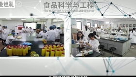 林业科技赋能下的铜锣烧制作新体验