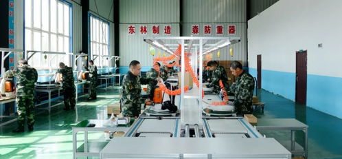 龙江森工集团 创新驱动数智林业，跑出发展加速度